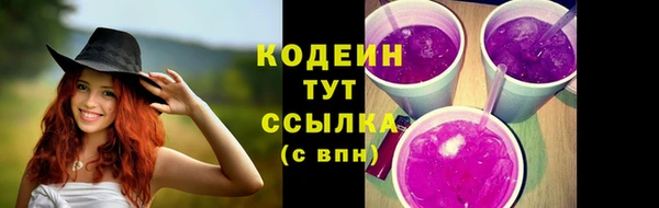 тгк Новозыбков