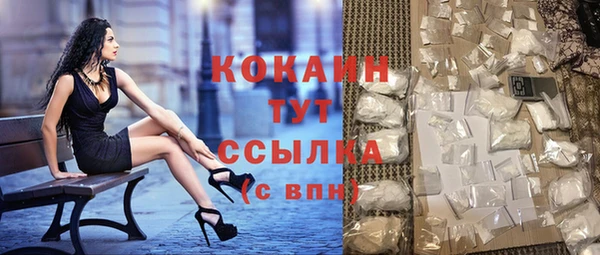 тгк Новозыбков