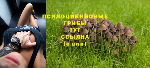 первитин Нефтегорск