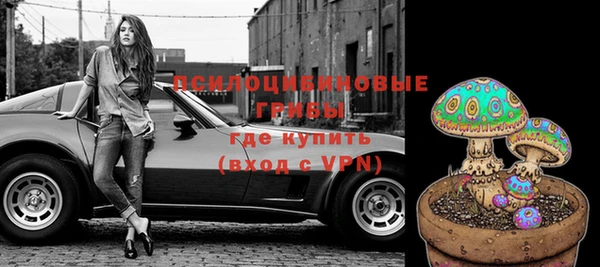 тгк Новозыбков