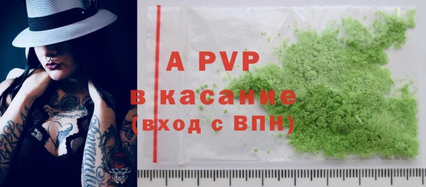 тгк Новозыбков
