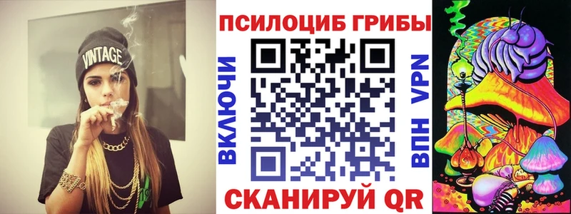 где найти   Усолье-Сибирское  Галлюциногенные грибы Psilocybe 